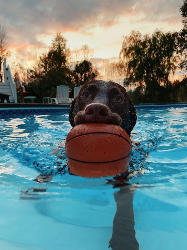 Affordable Pools Beaverton